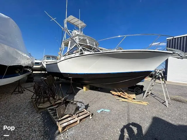 The Image of Carolina 28' 1998 - 15974320