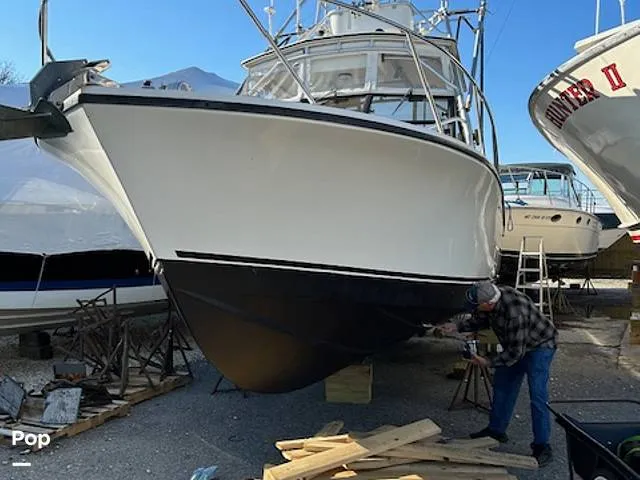 Slide: The Image of Carolina 28' 1998 - 15974319