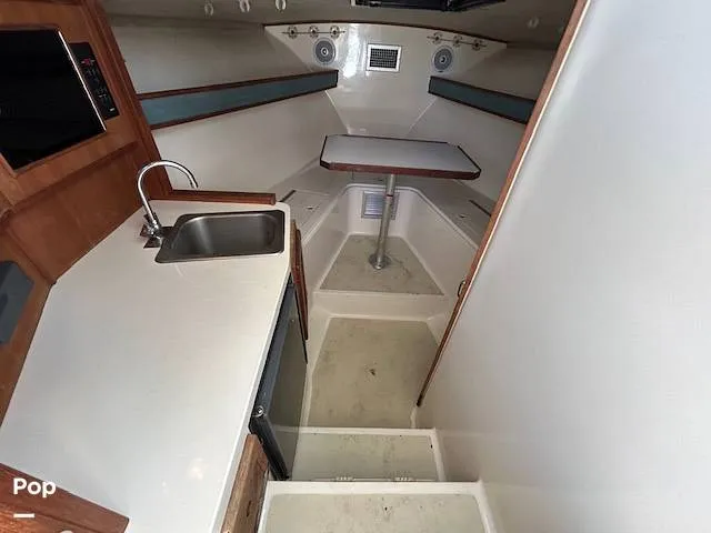 Slide: The Image of Carolina 28' 1998 - 15974332