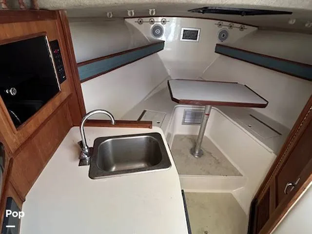 Slide: The Image of Carolina 28' 1998 - 15974334