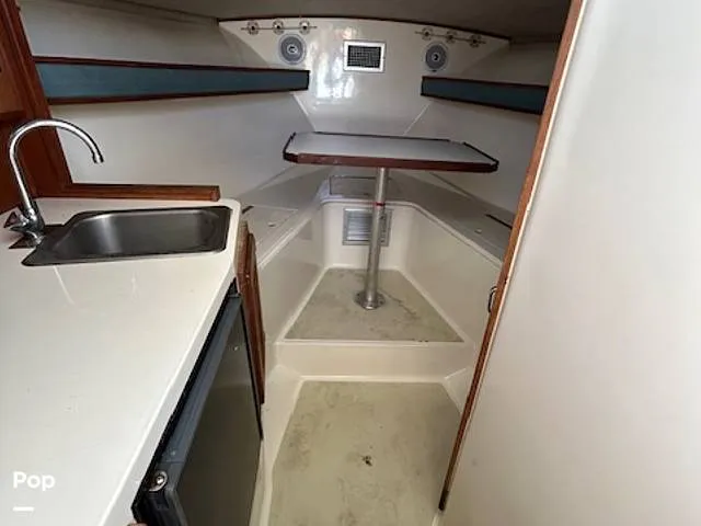 Slide: The Image of Carolina 28' 1998 - 15974337