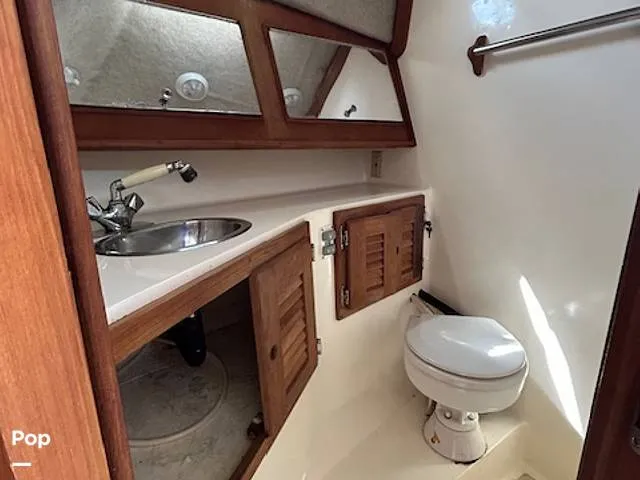 Slide: The Image of Carolina 28' 1998 - 15974340