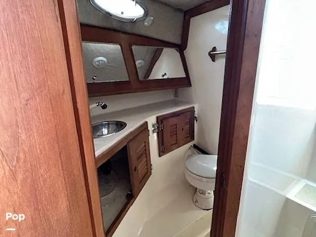 Slide: The Image of Carolina 28' 1998 - 15974341