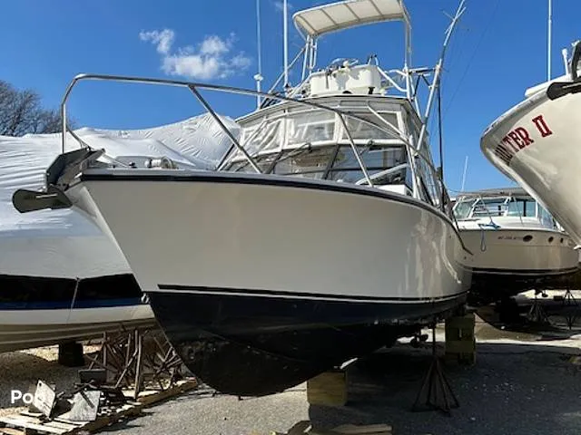 Slide: The Image of Carolina 28' 1998 - 15974322