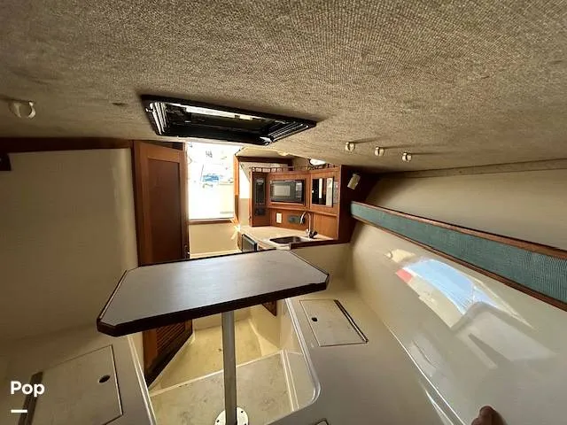 Slide: The Image of Carolina 28' 1998 - 15974345