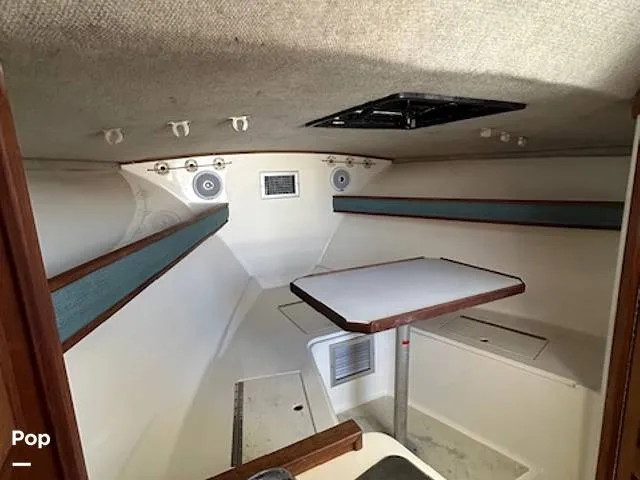 Slide: The Image of Carolina 28' 1998 - 15974347