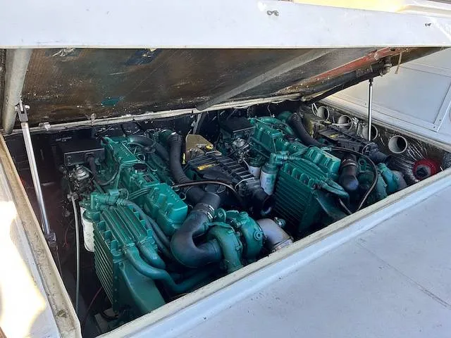 Slide: The Image of Carolina 28' 1998 - 15980031