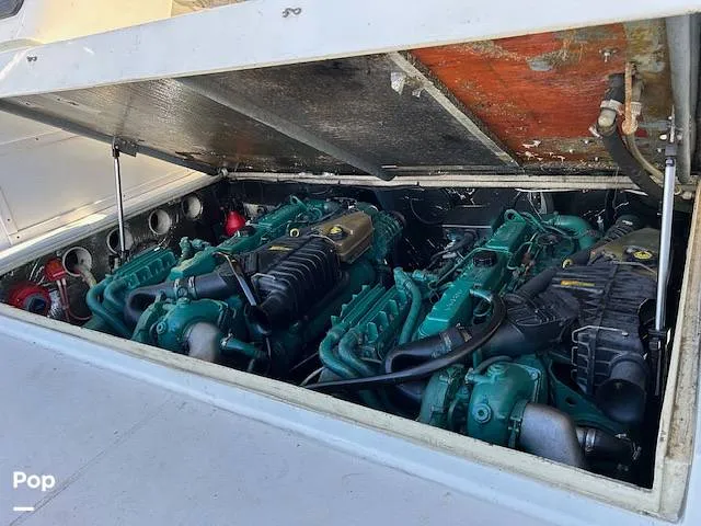 Slide: The Image of Carolina 28' 1998 - 15980033