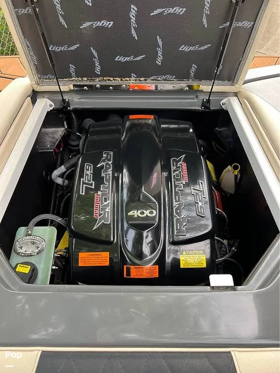 Slide: The Image of Tige r20 2018 - 16066181