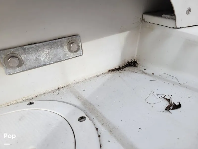 Slide: The Image of SeaVee 25 1991 - 15973261