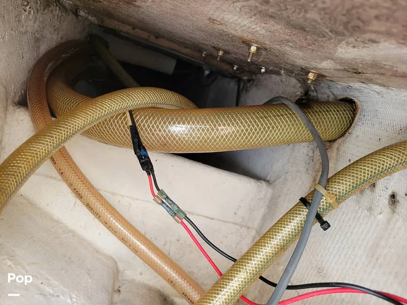 Slide: The Image of SeaVee 25 1991 - 15973271