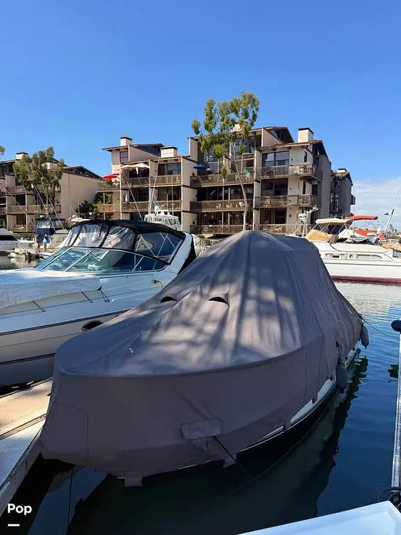 Slide: The Image of Shamrock 246 WA 2001 - 16237655