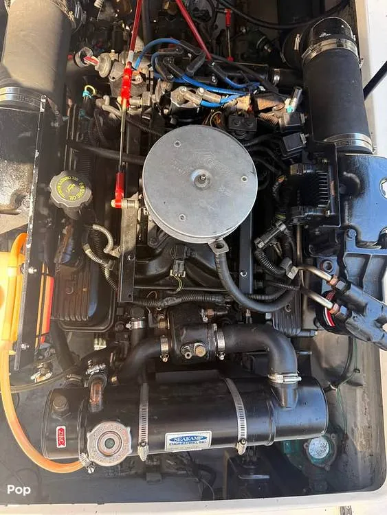 Slide: The Image of Shamrock 246 WA 2001 - 16237656