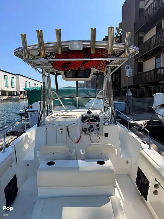 Slide: The Image of Shamrock 246 WA 2001 - 16237658