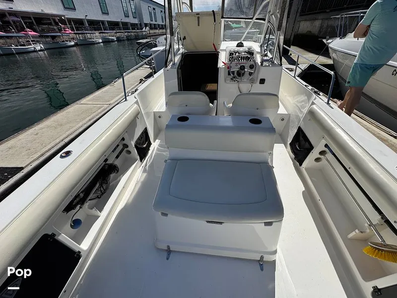 Slide: The Image of Shamrock 246 WA 2001 - 16254589