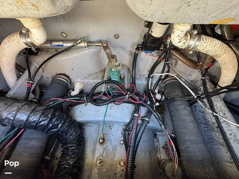 Slide: The Image of Shamrock 246 WA 2001 - 16254596