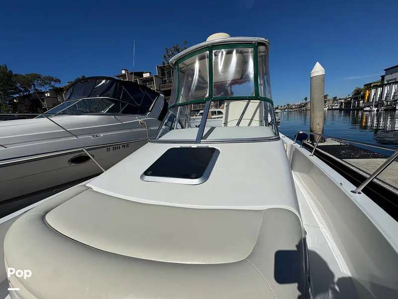 Slide: The Image of Shamrock 246 WA 2001 - 16254583