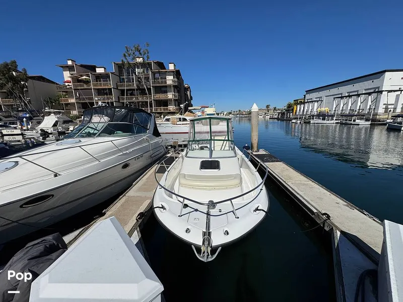 Slide: The Image of Shamrock 246 WA 2001 - 16254610