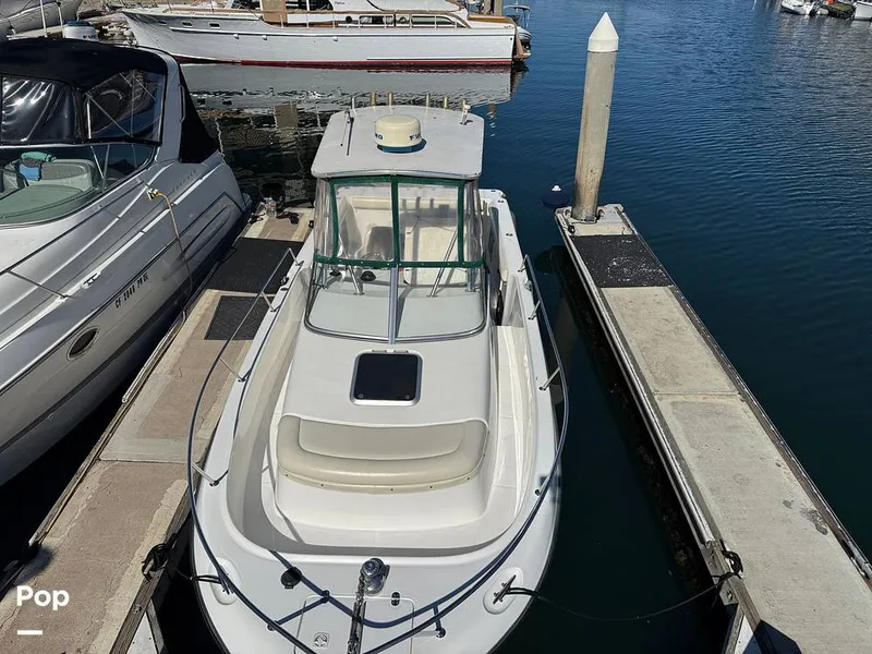 Slide: The Image of Shamrock 246 WA 2001 - 16254627