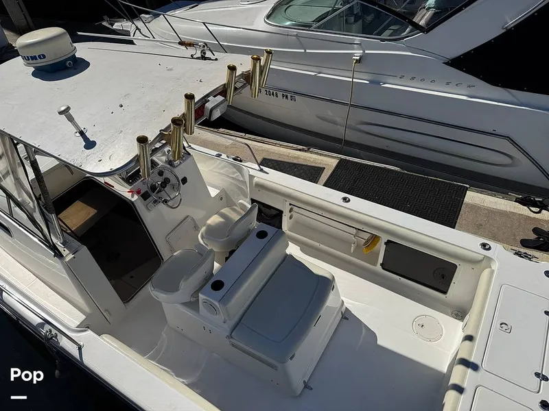 Slide: The Image of Shamrock 246 WA 2001 - 16254622