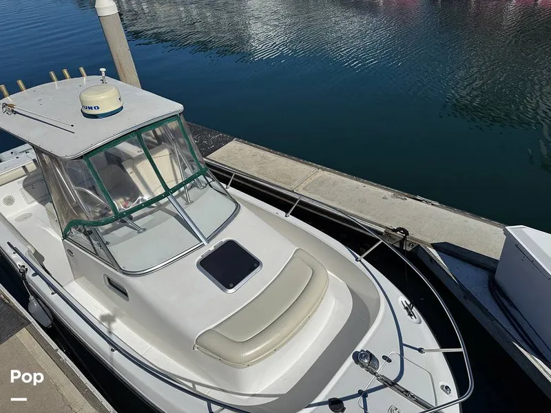 Slide: The Image of Shamrock 246 WA 2001 - 16254623