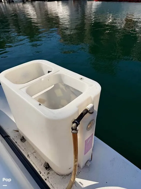 Slide: The Image of Shamrock 246 WA 2001 - 16237649