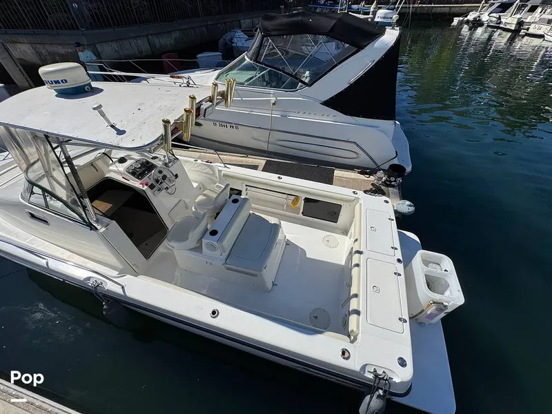 Slide: The Image of Shamrock 246 WA 2001 - 16254632