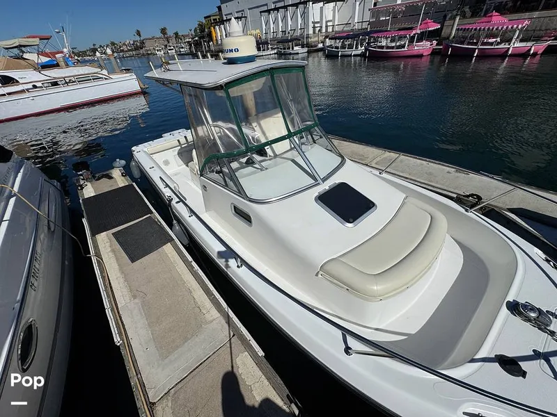 Slide: The Image of Shamrock 246 WA 2001 - 16254635