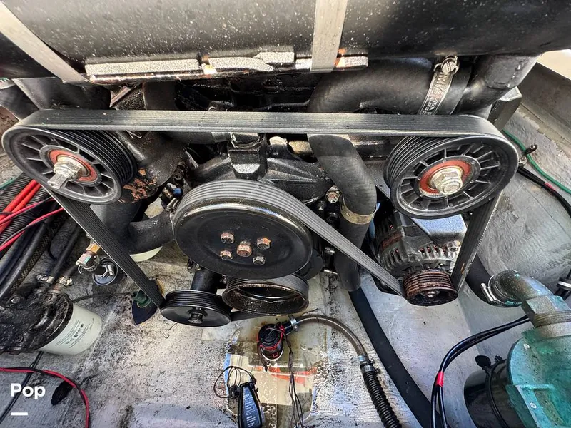 Slide: The Image of Shamrock 246 WA 2001 - 16254639