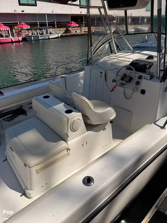 Slide: The Image of Shamrock 246 WA 2001 - 16237650