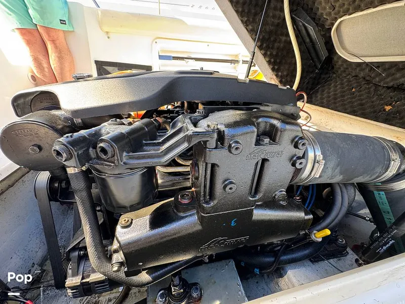 Slide: The Image of Shamrock 246 WA 2001 - 16254640