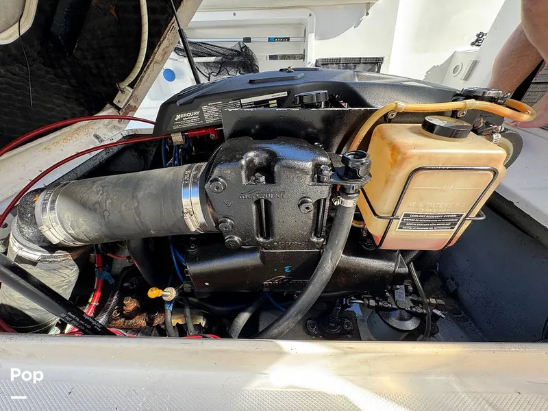 Slide: The Image of Shamrock 246 WA 2001 - 16254641