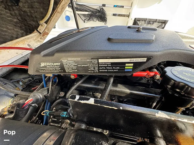 Slide: The Image of Shamrock 246 WA 2001 - 16254642