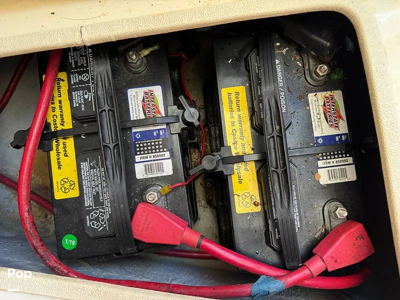 Slide: The Image of Shamrock 246 WA 2001 - 16254644