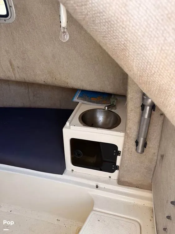 Slide: The Image of Shamrock 246 WA 2001 - 16237651