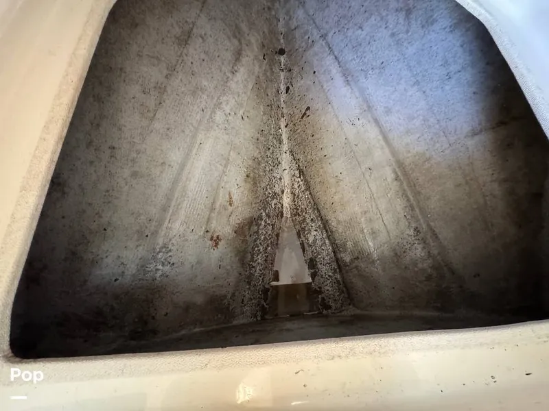 Slide: The Image of Shamrock 246 WA 2001 - 16254651