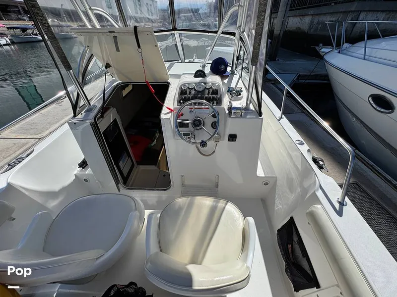 Slide: The Image of Shamrock 246 WA 2001 - 16254656