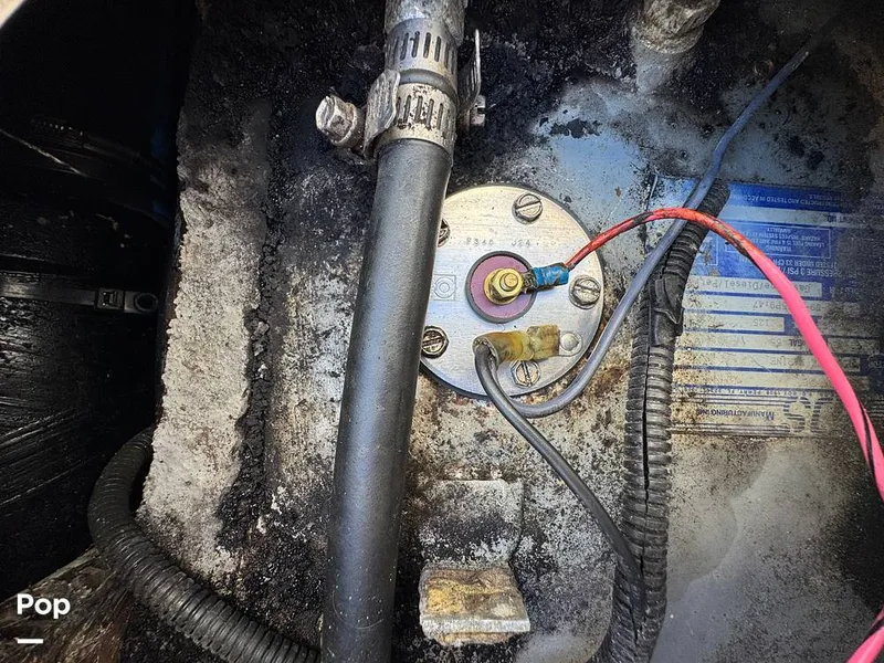 Slide: The Image of Shamrock 246 WA 2001 - 16254659