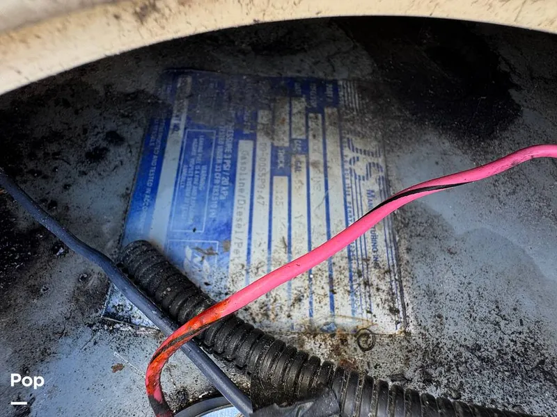 Slide: The Image of Shamrock 246 WA 2001 - 16254660