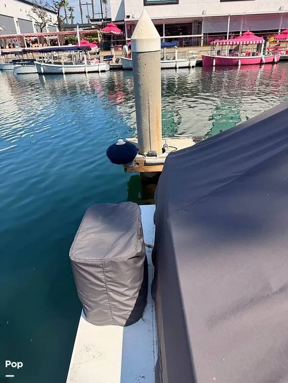 Slide: The Image of Shamrock 246 WA 2001 - 16237652