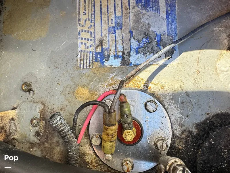 Slide: The Image of Shamrock 246 WA 2001 - 16254661