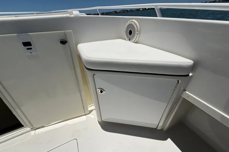 Slide: The Image of Intrepid 356 Cuddy 1996 - 16