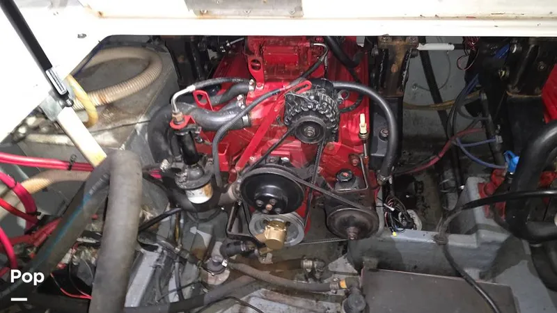 Slide: The Image of Crownline Boats 290 CR 2005 - 16239078