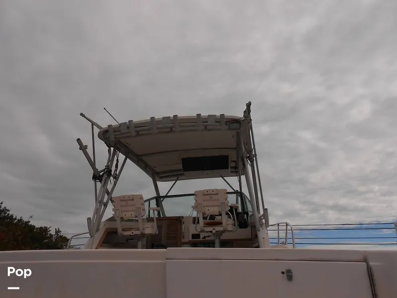 Slide: The Image of Grady-White Marlin 1990 - 15959506