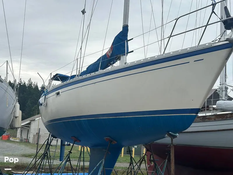 Slide: The Image of O'Day 40 Deep 1986 - 15971251