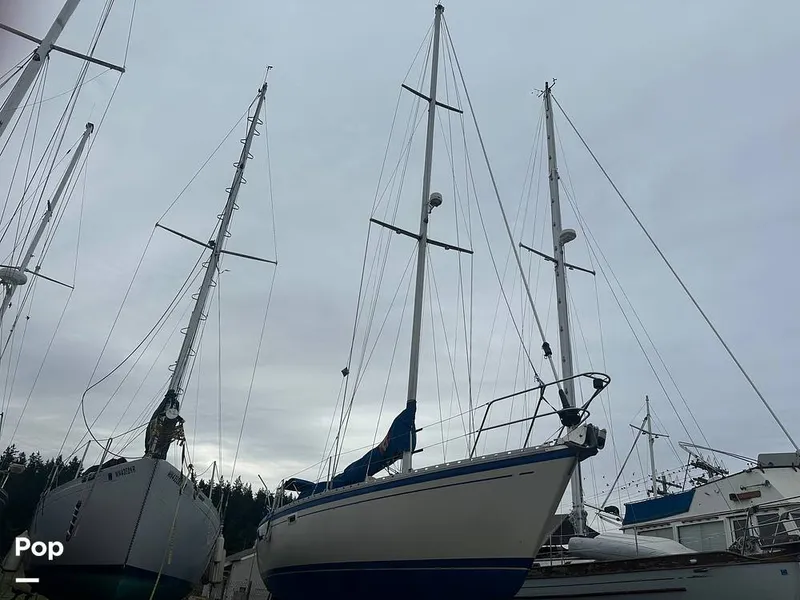 Slide: The Image of O'Day 40 Deep 1986 - 15971253