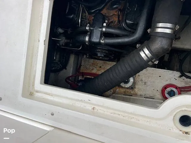 Slide: The Image of Cruisers 3375 1997 - 15973902