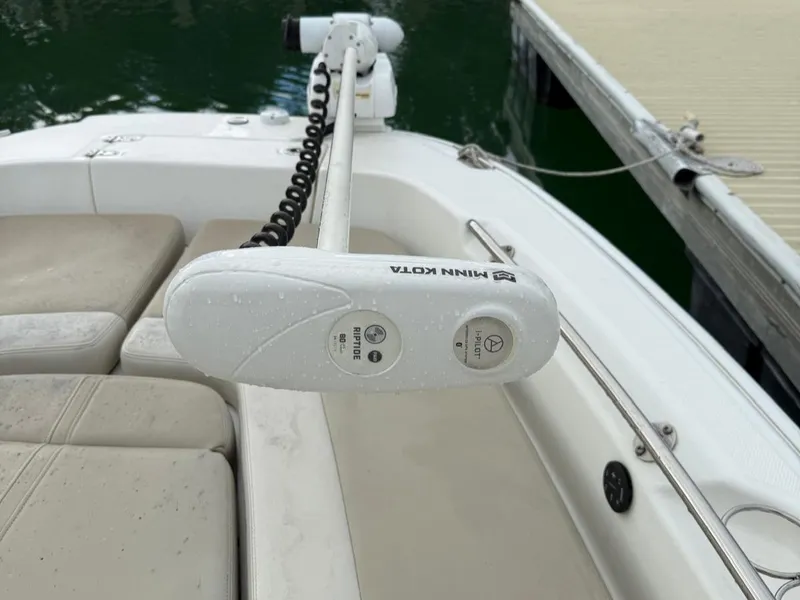 Slide: The Image of Boston Whaler 240 DAUNTLESS PRO 2020 - 12