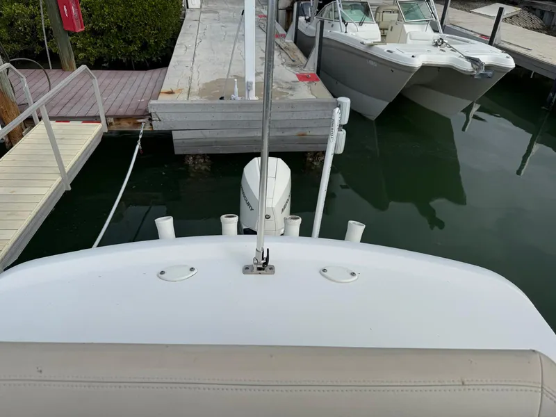 Slide: The Image of Boston Whaler 240 DAUNTLESS PRO 2020 - 19