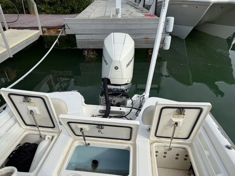 Slide: The Image of Boston Whaler 240 DAUNTLESS PRO 2020 - 24